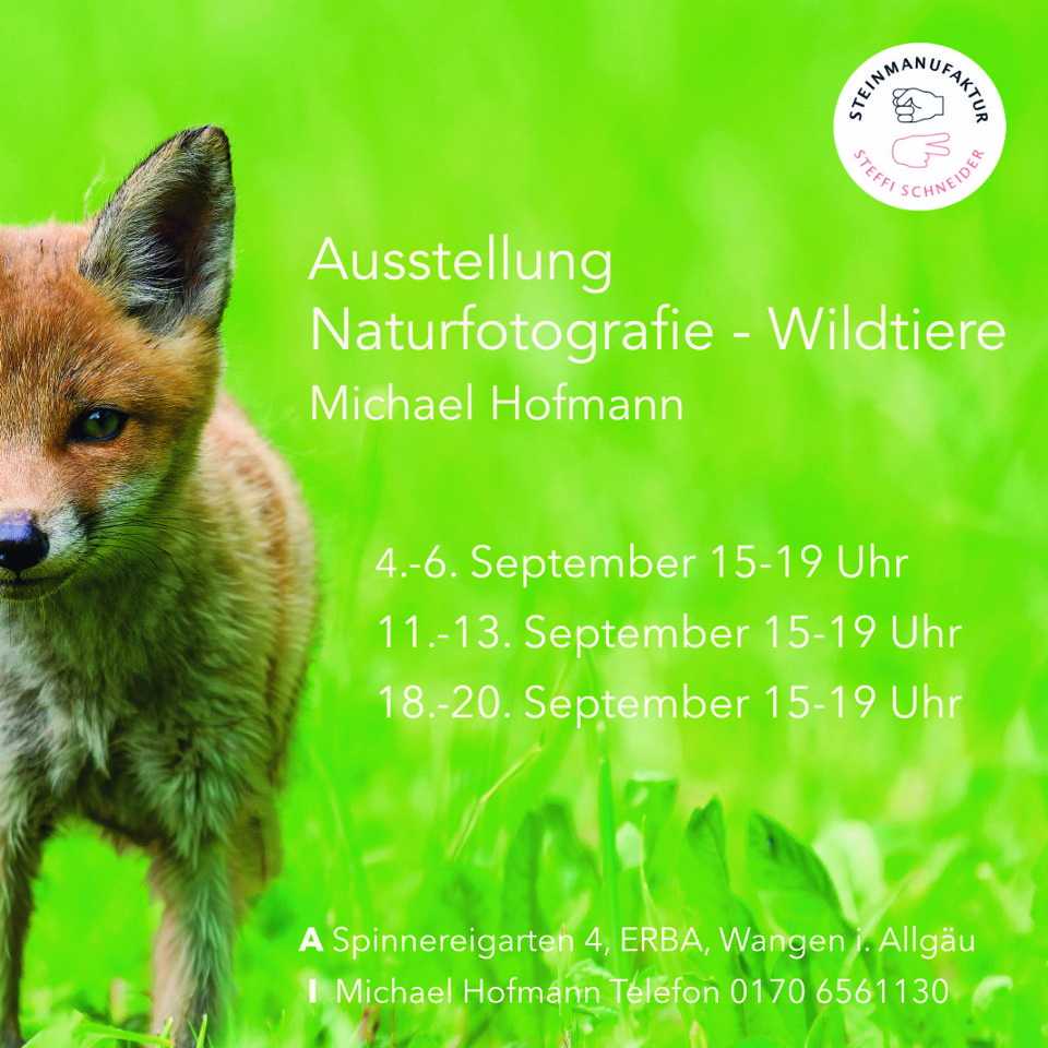 Ausstellung Flyer 2026